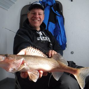 Lake of the Woods Sauger