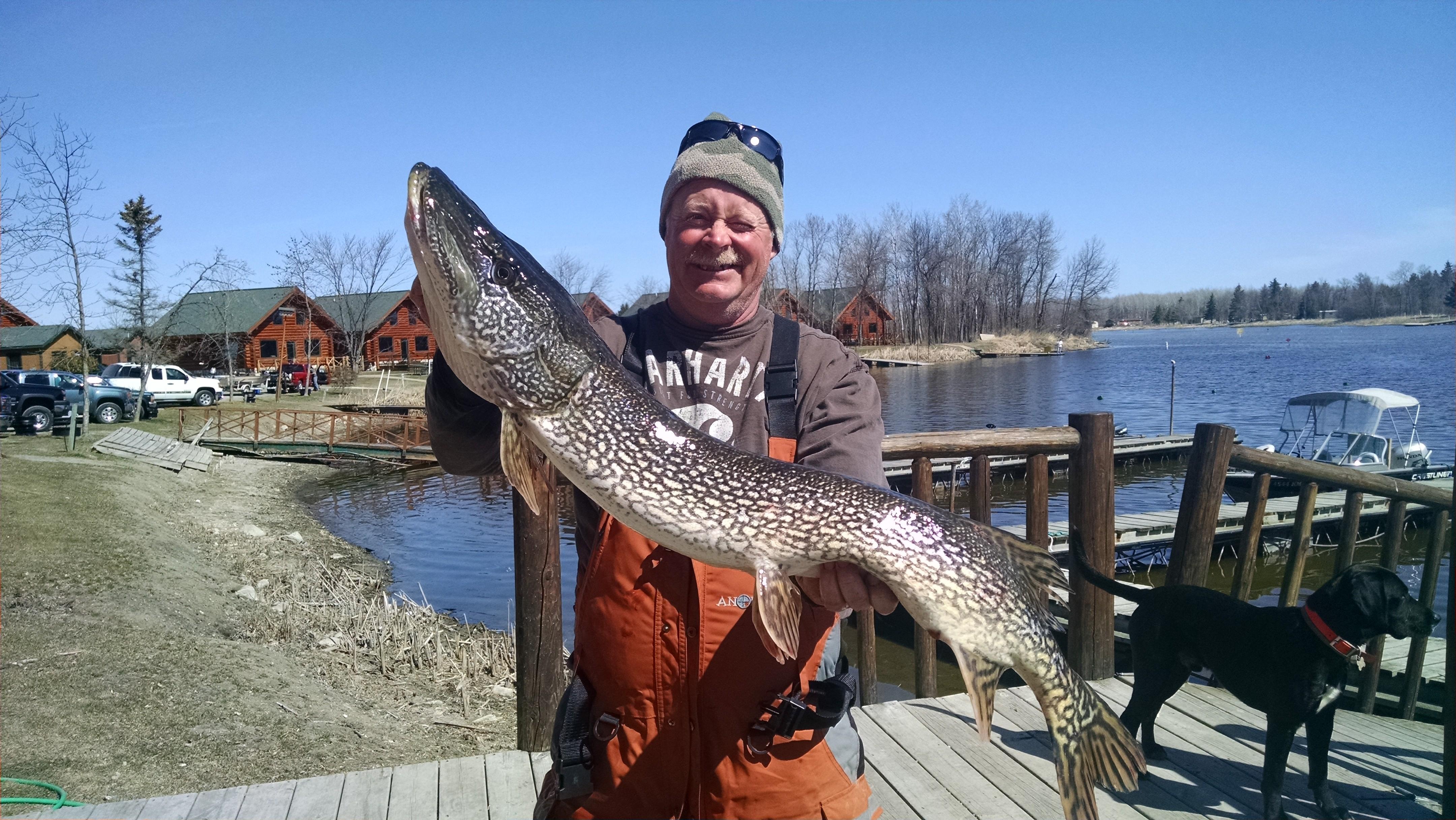 Lake of the Woods Fishing Report 4/30/15 Lake of the Woods