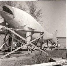 Construction of Willie Walleye