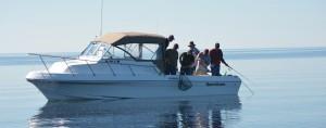 Charter boat excitement of netting a big walleye