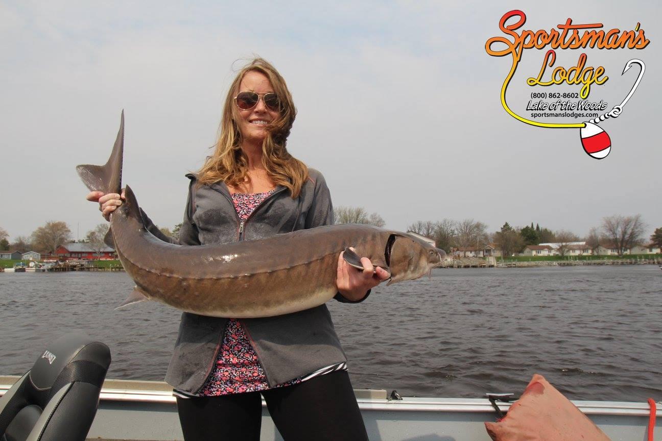 Sportsman's Lodge Sturgeon Tournament... Possible State Record? Lake