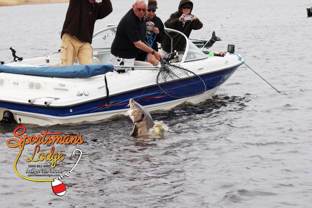 Sportsman's Lodge Sturgeon Tournament... Possible State Record? Lake