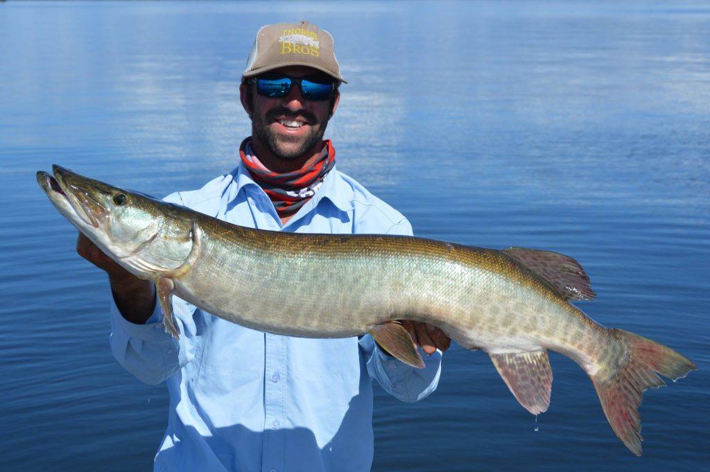 LOW Muskie Opener June 18th in MN and Ontario Waters! Lake of the Woods