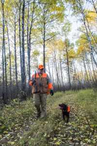 Grouse hunting, Lake of the Woods MN