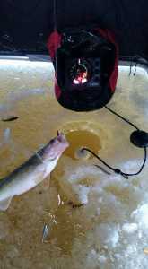 Ice fishing tips and tricks, and ice conditions across the region - Grand  Forks Herald