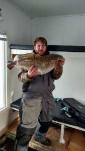 mn-state-record-eelpout-19-67-lbs