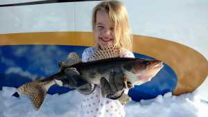 Four year old Elizabeth Determan, sauger, Long Point Resort