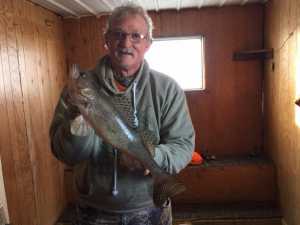 19 inch sauger- wheelers point