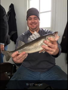 Bubba_18.5_inch_sauger
