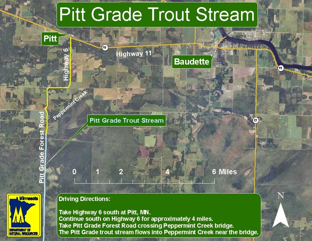 Pitt Grade Trout stream