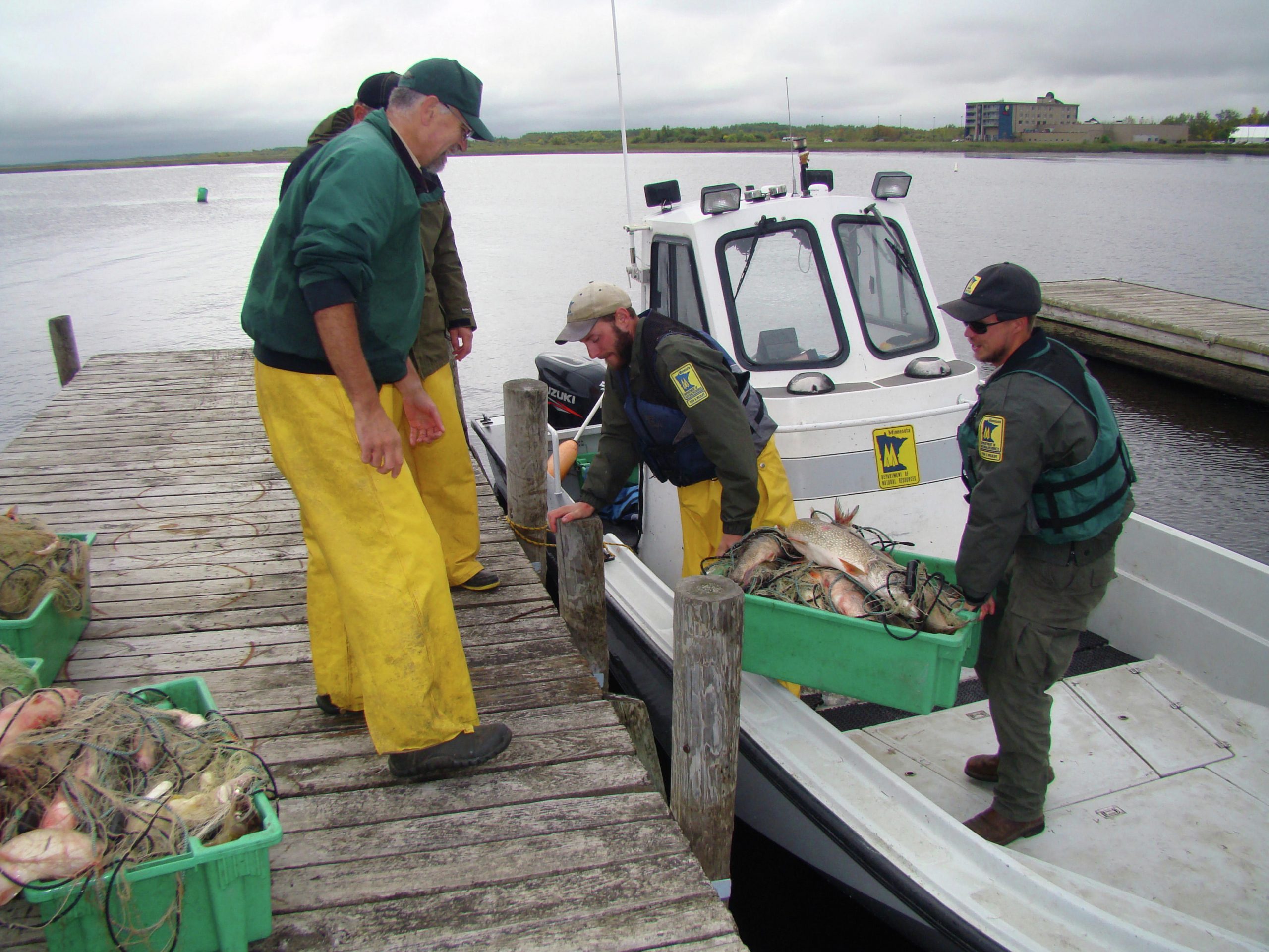Dock Talk: DNR uses nets to measure fish abundance - Park Rapids Enterprise