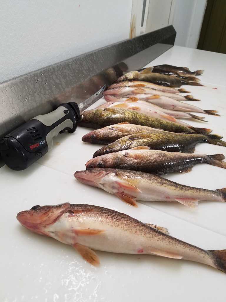 Fish cleaning table, Lake of the Woods