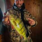 Bret Amundson, perch, NW Angle, Lake of the Woods