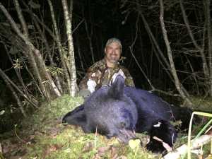 Black Bear Hunting, Lake of the Woods