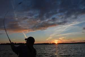 casting for muskies, NW Angle, Lake of the Woods