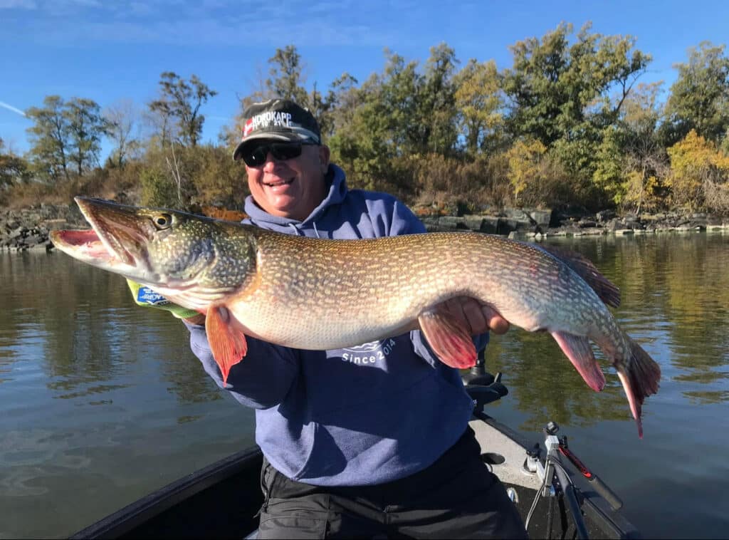 Trophy pike, Oak Island Lodge, NW Angle, Lake of the Woods MN