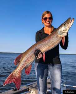 Lake of the Woods muskie