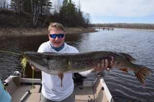 Rainy River 2018 state record pike