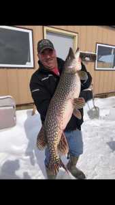 Pike ice fishing, Lake of the Woods MN