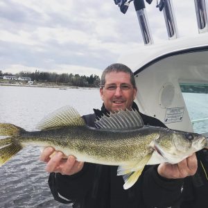 Charter walleye on the Rainy River
