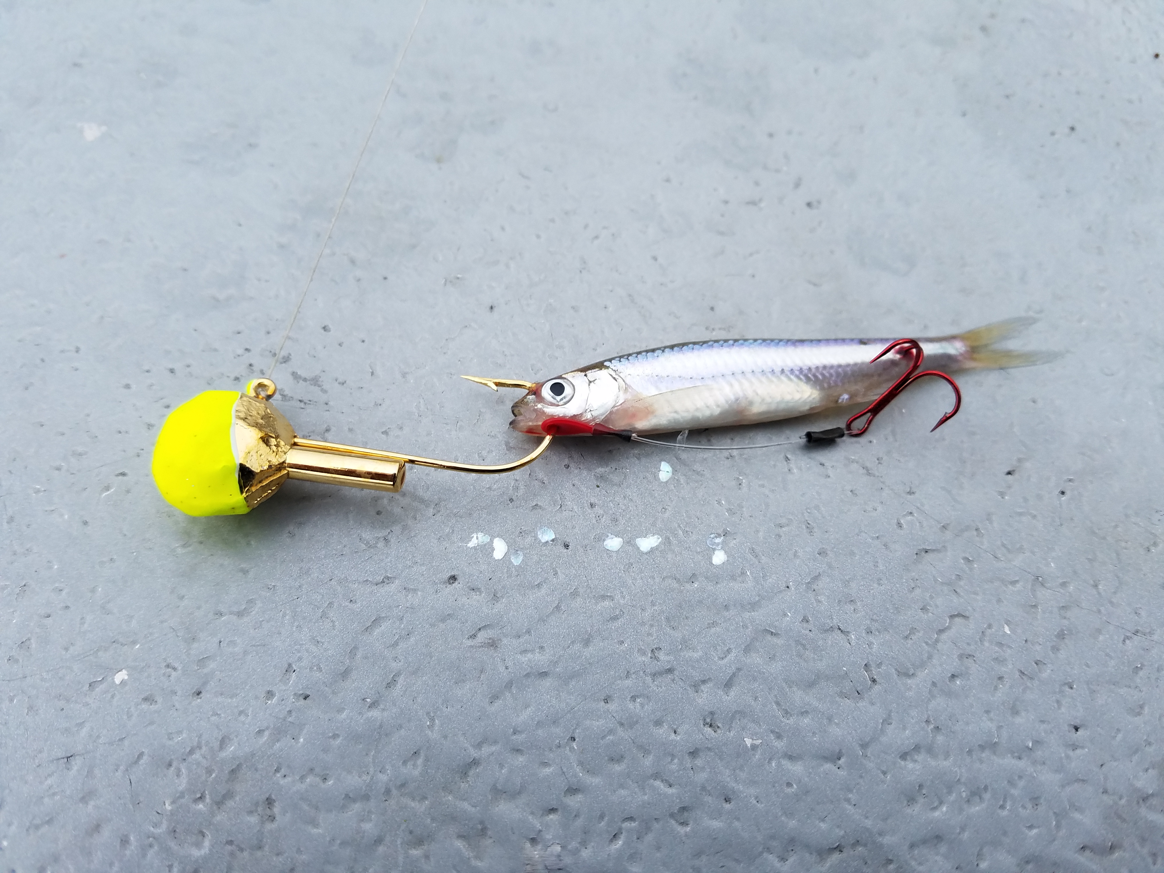 jigandminnow_frozenshiner_stingerhook3 Lake of the Woods
