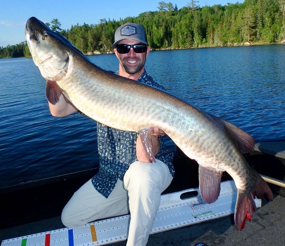 joecooper_50inchmuskie_062119 Lake of the Woods