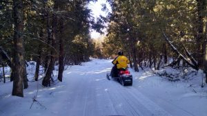 lake of the woods county snowmobiling