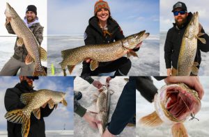 Big pike, ice fishing with tip-ups, Lake of the Woods