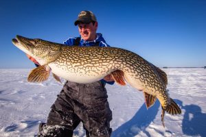 How to catch GIANT Lake of the Woods pike on tip-ups – Target Walleye