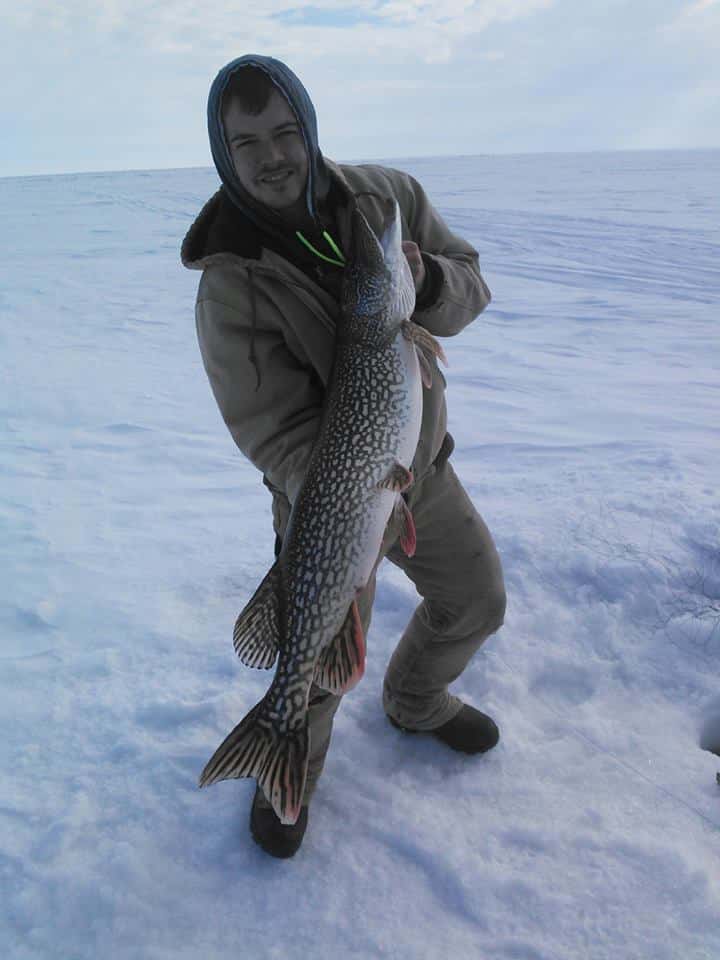 northerntipuppikeicefishing2014 Lake of the Woods
