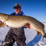 Huge pike, Lake of the Woods, Arnesen's Rocky Point