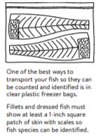 MN DNR, package fish