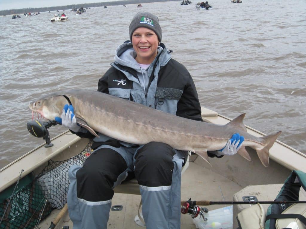 Sensational Sturgeon on the Rainy River - Lake of the Woods