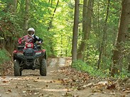 atv in forest 2
