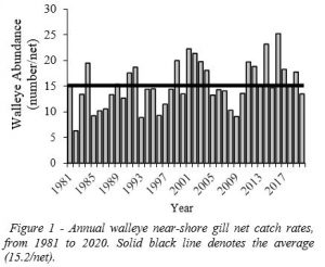 DNR_2020_Lake of the Woods_Walleye Abundance