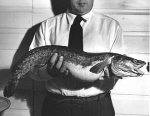 Rowell with Burbot