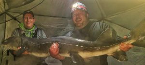 catch and release record sturgeon st. croix river