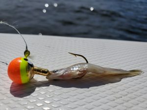Jig and frozen shiner