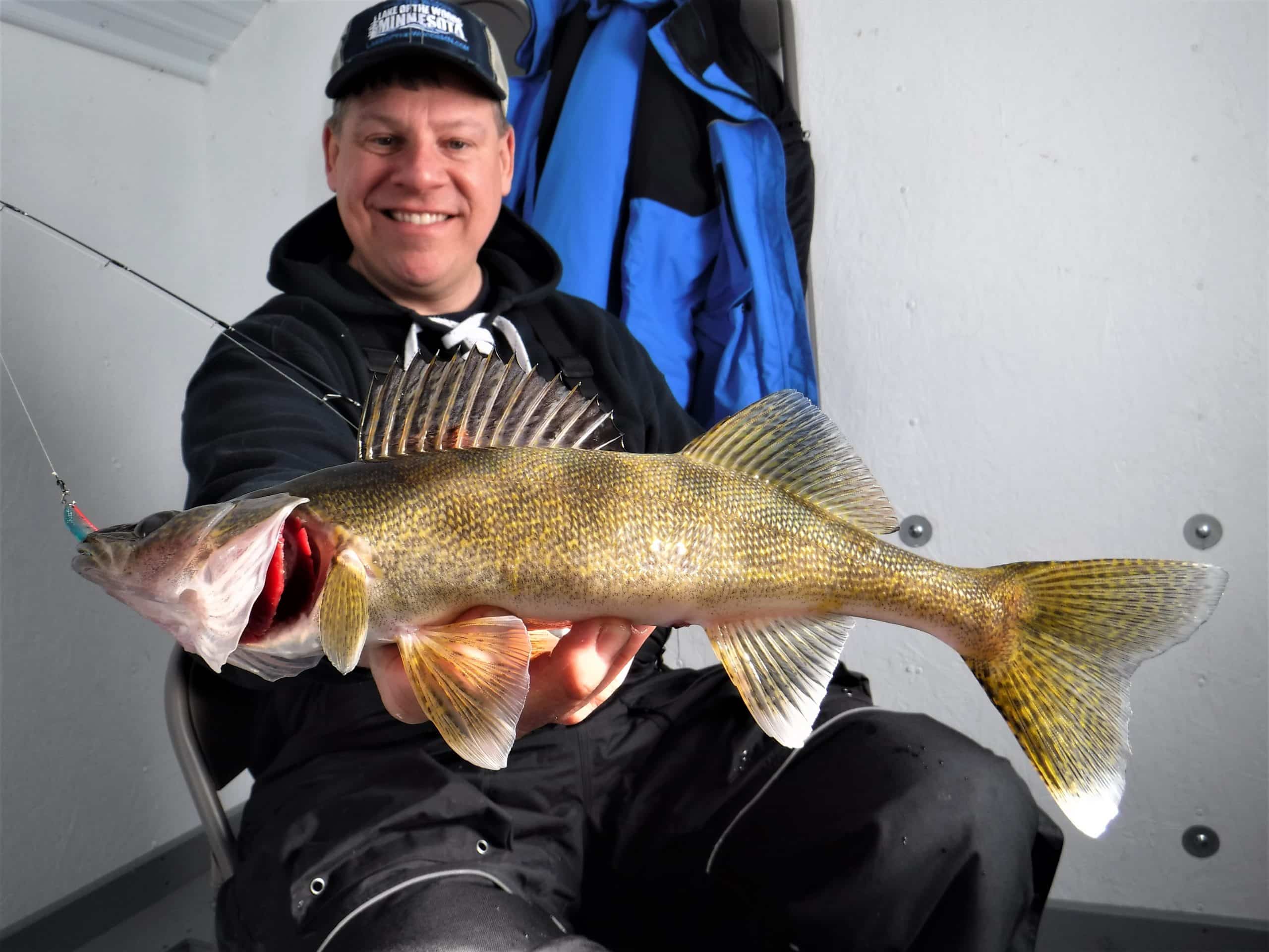 Joe Henry with walleye ice fishing in a fish house on Lake of the Woods MN