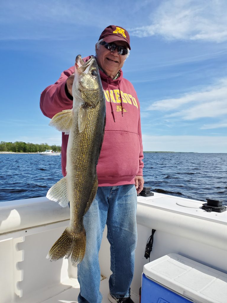 Walleye caught jigging on a charter boat, lake of the woods