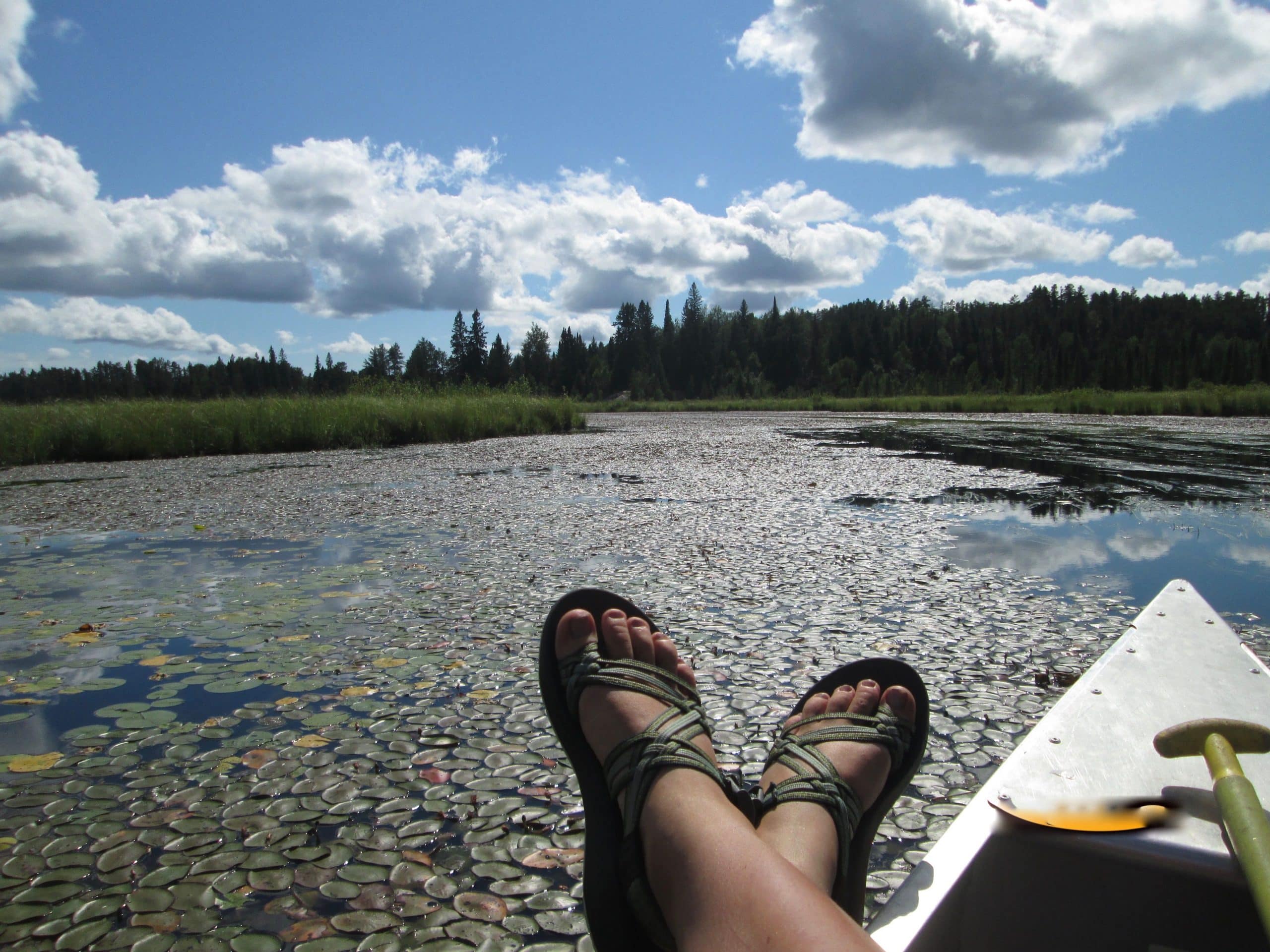 NW Angle canoeing