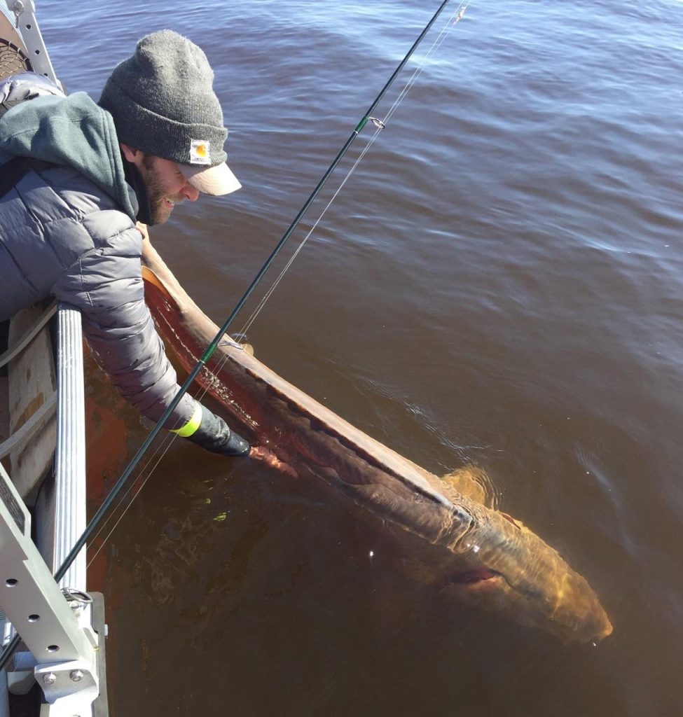 69" Sturgeon