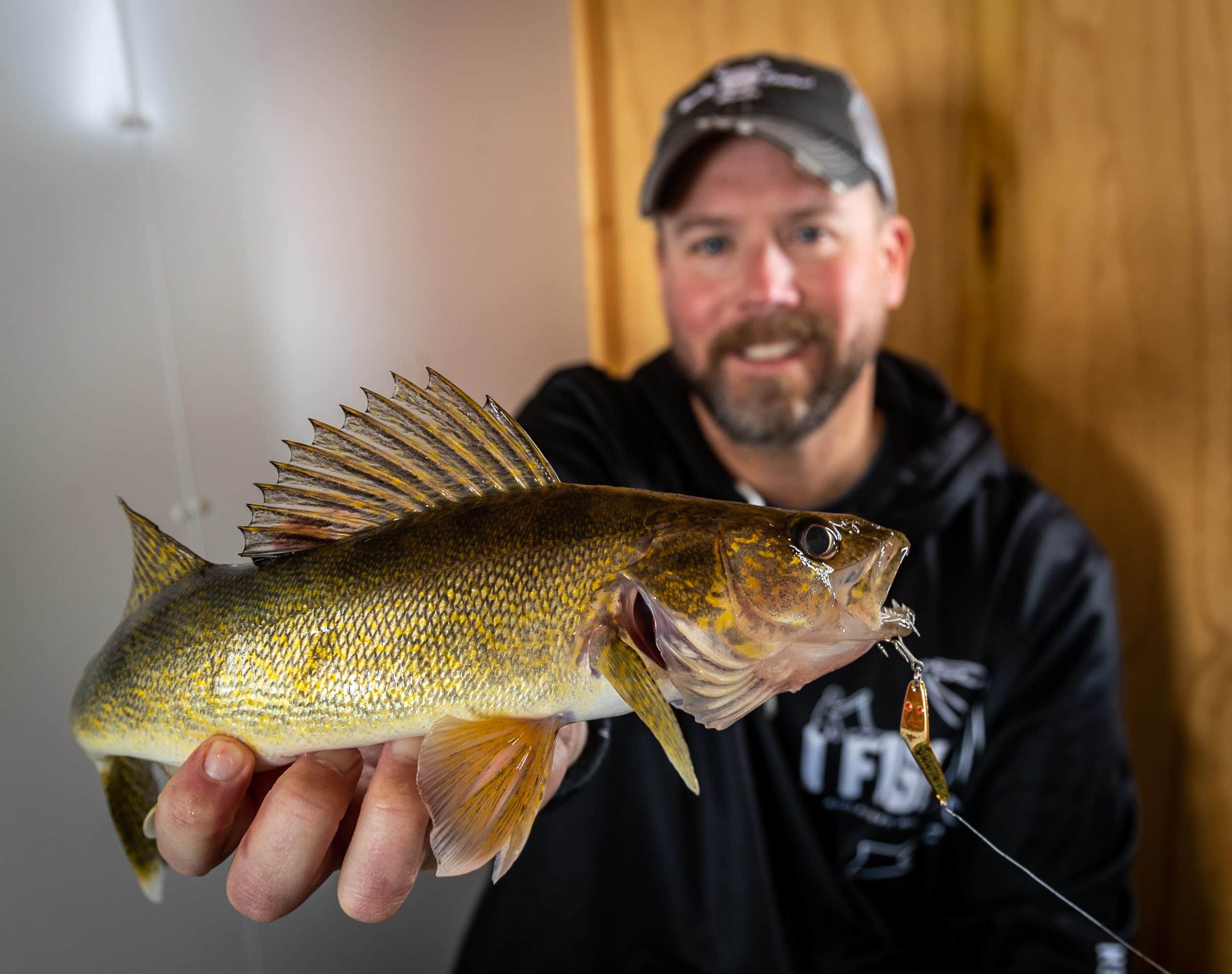 walleye fishing lake of the woods, mn
