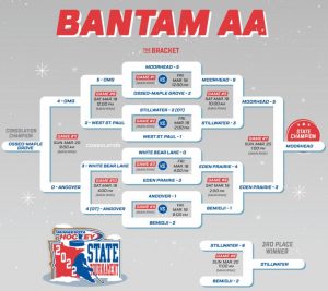 2022 Bantam AA State Tournament, Lake of the Woods International Arena