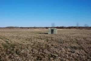 grouse blind