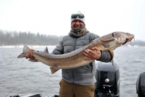 Spring Rainy River sturgeon, DRC call company