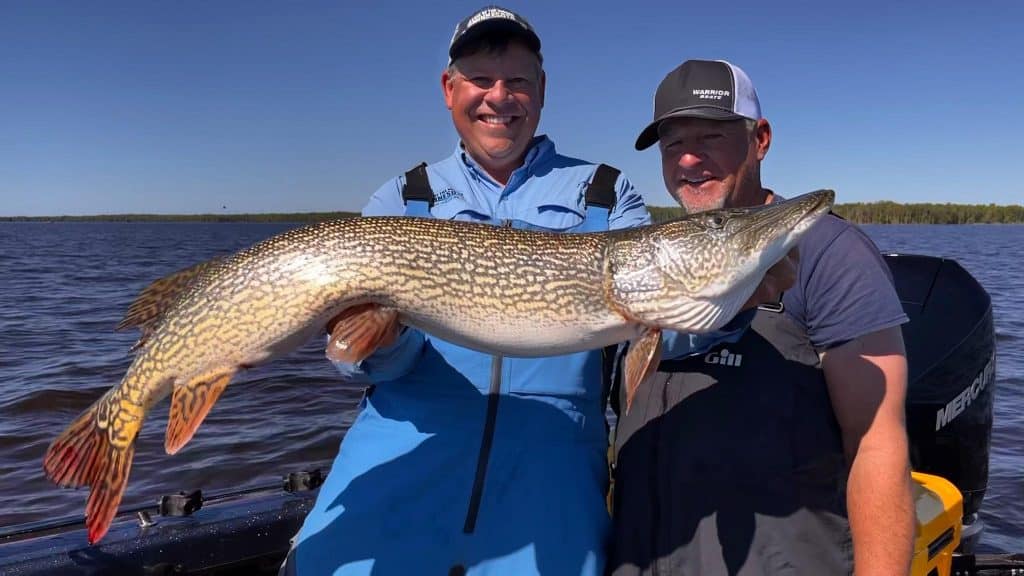 joe henry and Larry Smith with a trophy pike on Lake of the Woods