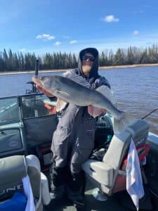 big walleye on rainy river charlie darmer 032822
