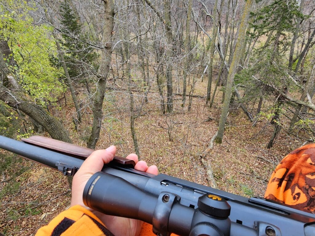 Overlooking a woods from a tree stand while deer hunting with a slug shotgun