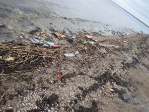 Friends of Zippel Bay State Park clean up, Keep It Clean